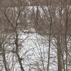 Meet your Posher, Kathryn